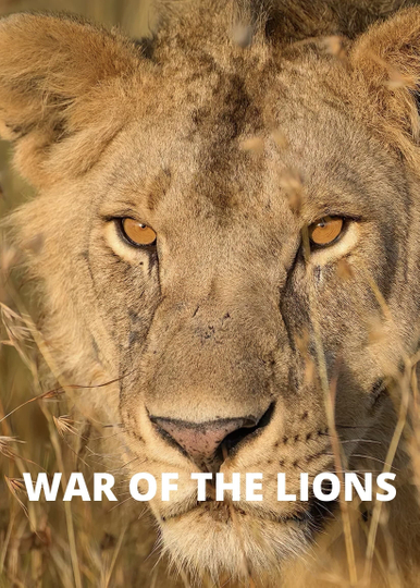 War of the Lions Poster