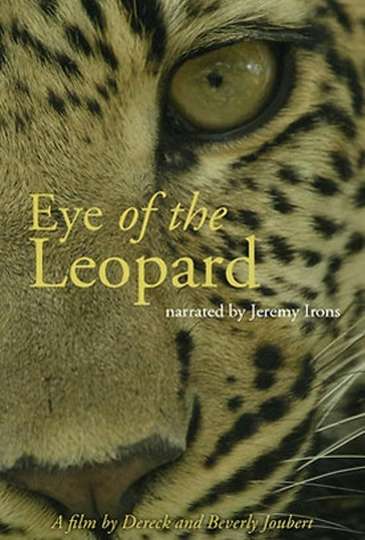 Eye of the Leopard: Revealed Poster