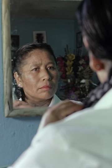 Mom (TV series) visual data 8