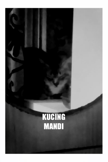 Kucing Mandi