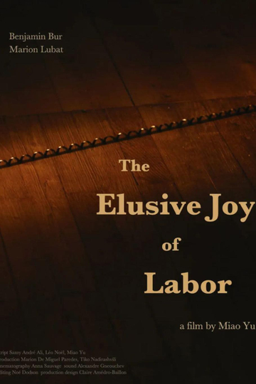 The Elusive Joy of Labor Poster