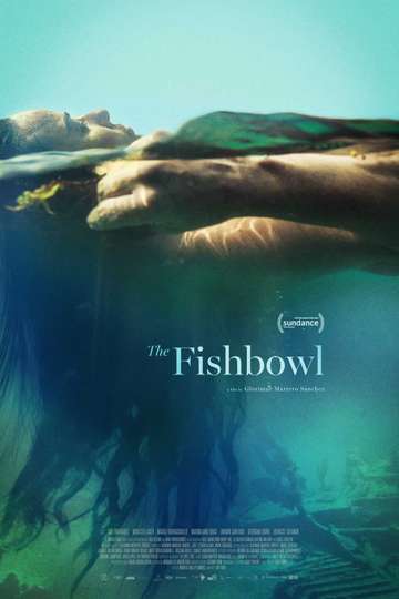 The Fishbowl Poster