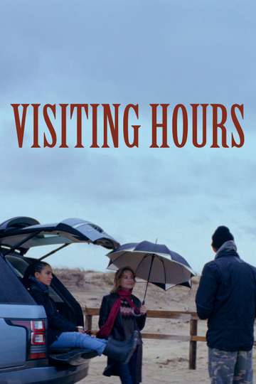 Visiting Hours Poster