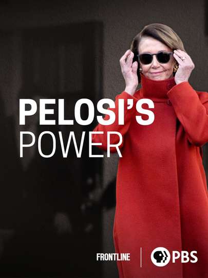 Pelosis Power Poster