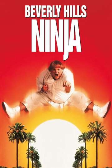 Beverly Hills Ninja Poster