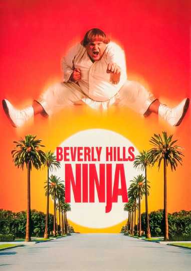 Beverly Hills Ninja Poster