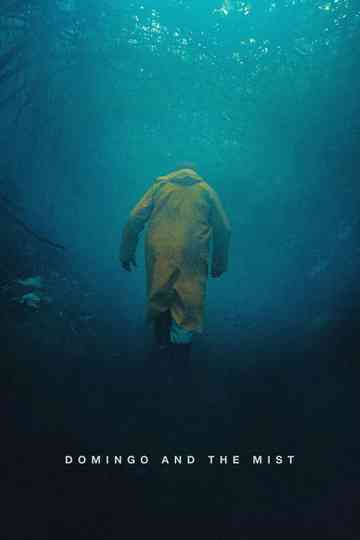 Domingo and the Mist Poster