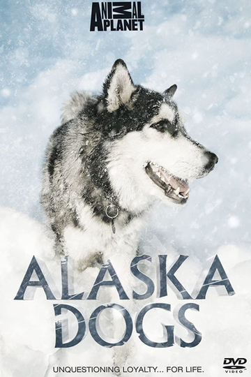 Alaska Dogs