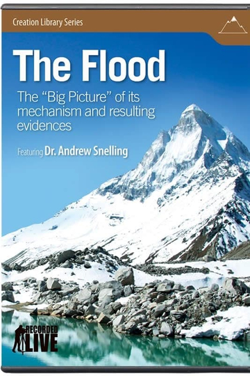 The Flood The Big Picture of Its Mechanism and Resulting Evidences