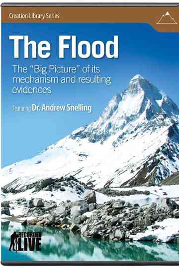 The Flood The Big Picture of Its Mechanism and Resulting Evidences