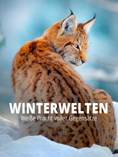 Terra X  Wilde Winterwelten