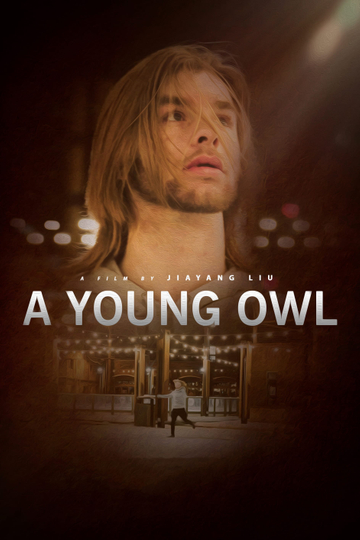 A Young Owl Poster