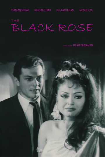 Black Rose Poster