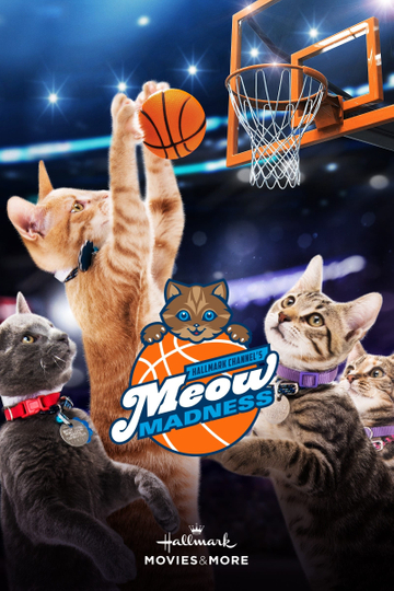 Meow Madness