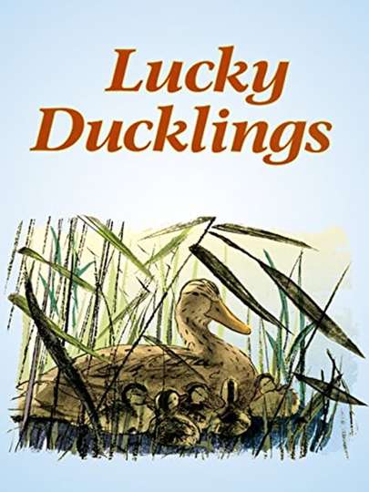Lucky Ducklings Poster