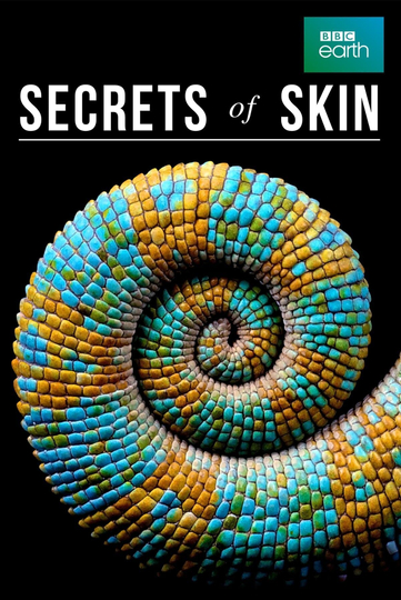 Secrets of Skin Poster