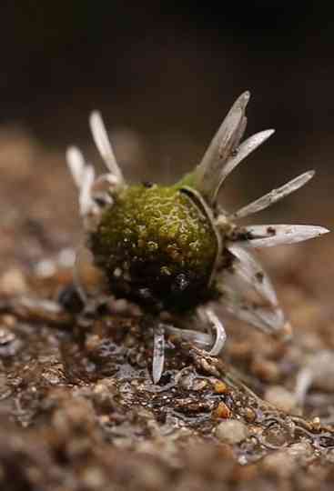 Hide and Seek Poster