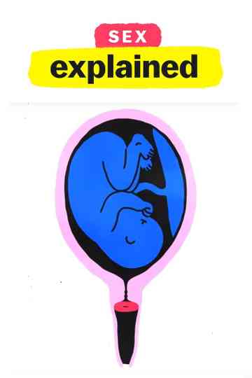 Sex, Explained