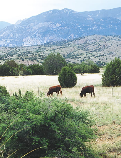 Whose Home on the Range