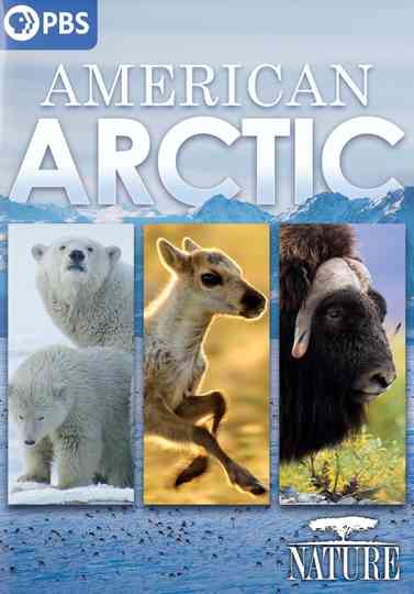 Nature: American Arctic Poster