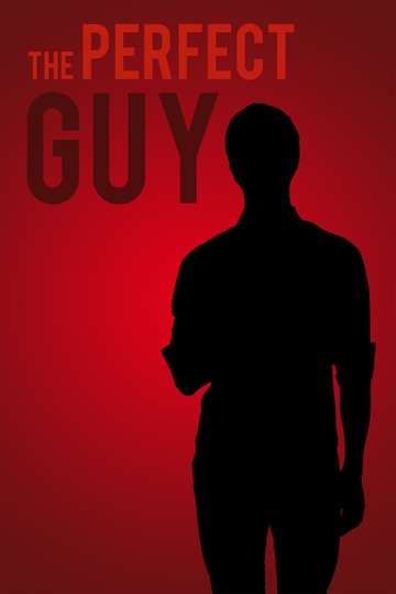 The Perfect Guy Poster