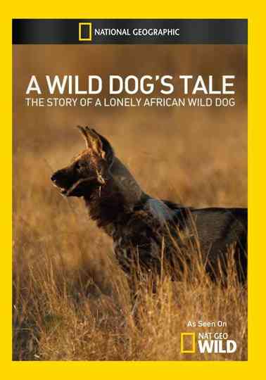 Solo A Wild Dogs Tale