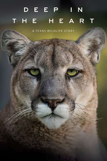 Deep in the Heart A Texas Wildlife Story Poster