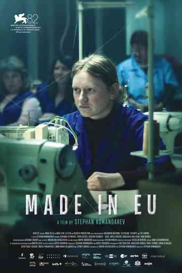 Made in EU Poster