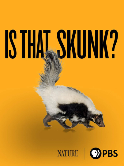 Is That Skunk