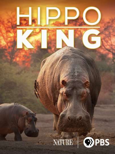 Hippo King Poster