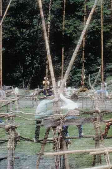 The Return of Gods and Ancestors Paiwan Five Year Ceremony Poster