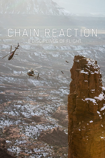 Chain Reaction  8 Disciplines of Flight