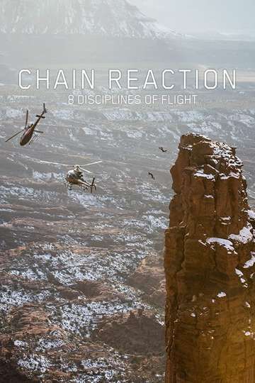 Chain Reaction  8 Disciplines of Flight Poster