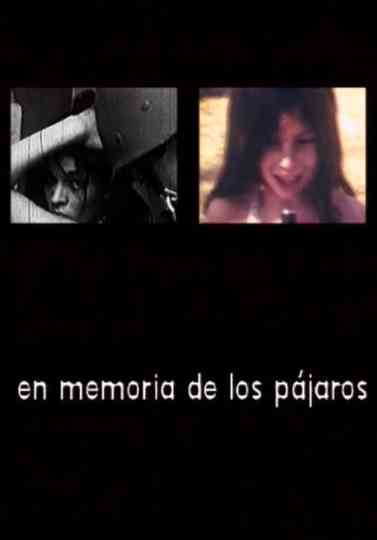 En memoria de los pájaros
