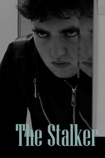 The Stalker Poster