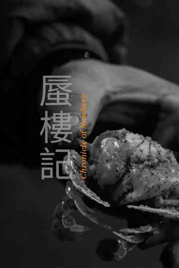 Chronicle of Nowhere poster