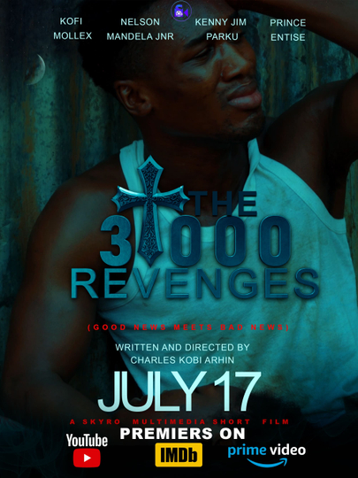 The 3,000 Revenges Poster