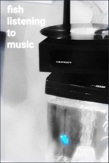 Fish Listening To Music Poster