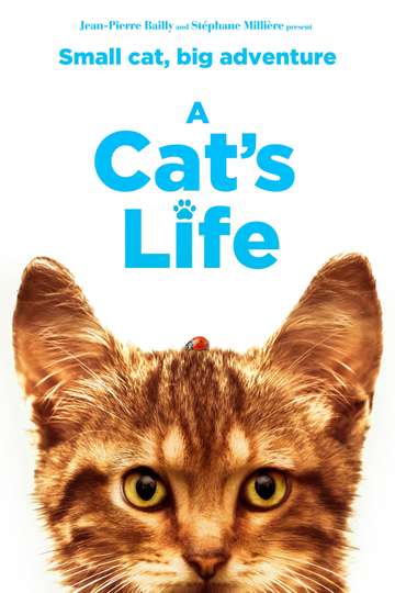 A Cat's Life Poster