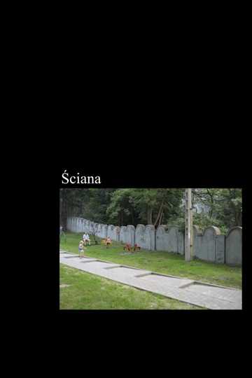 Ściana