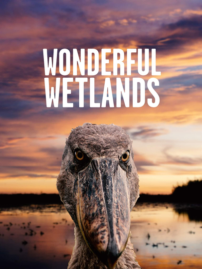 Wonderful Wetlands