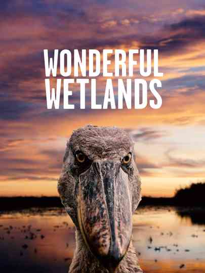 Wonderful Wetlands