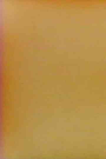 Transmission Lost and Found Poster