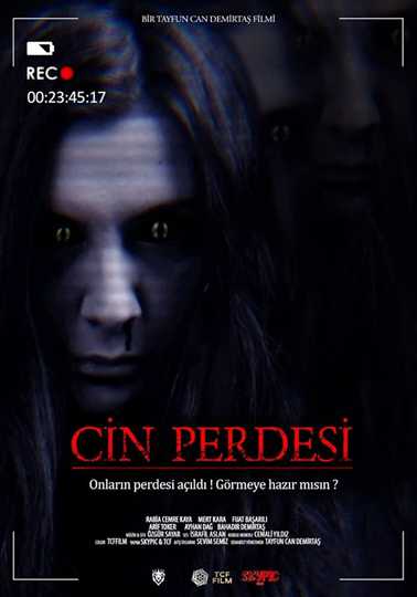 Cin Perdesi