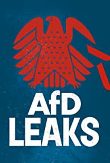 AfD Leaks The Secret Chats of the Bundestag Parliamentary Group Poster