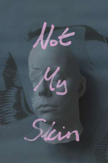 Not My Skin Poster