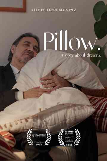 Pillow Poster