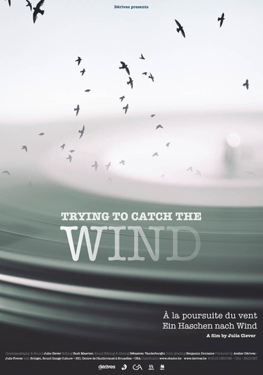 Trying to Catch the Wind Poster