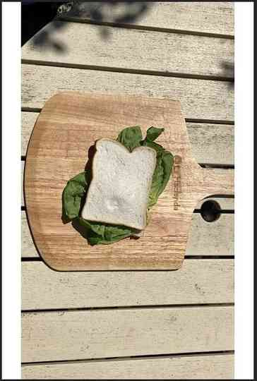 The Sandwich