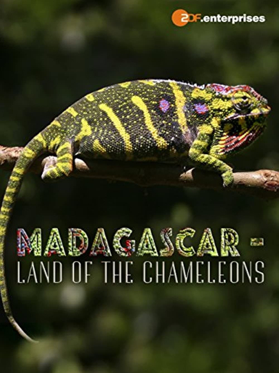 Madagascar Land of the Chameleons Poster